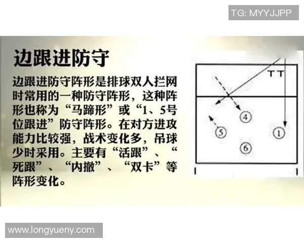 武汉排球队反击战术深度解析与实战应用探讨 武汉排球队反击战术深度解析与实战应用探讨