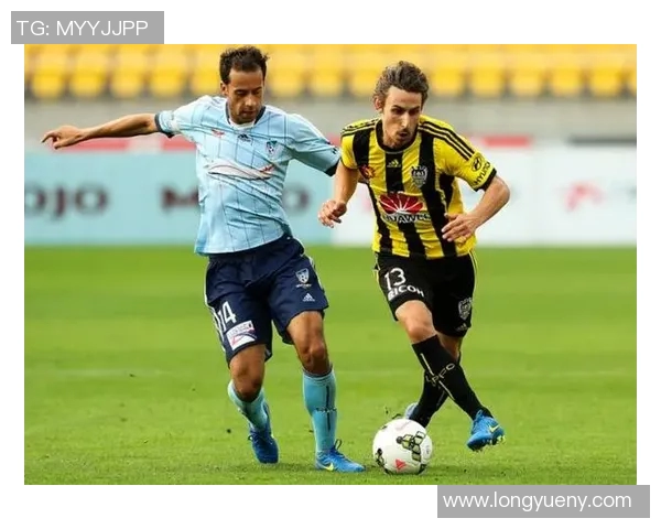 惠灵顿凤凰队与布里斯班狮吼队的精彩对决即将上演