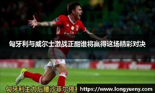 JJB竞技宝